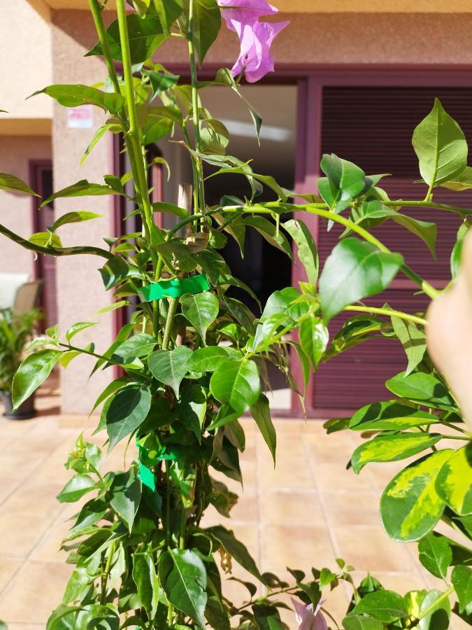 Bed and Breakfast Vivienda Vacacional Compartida Radazul Zewnętrze zdjęcie